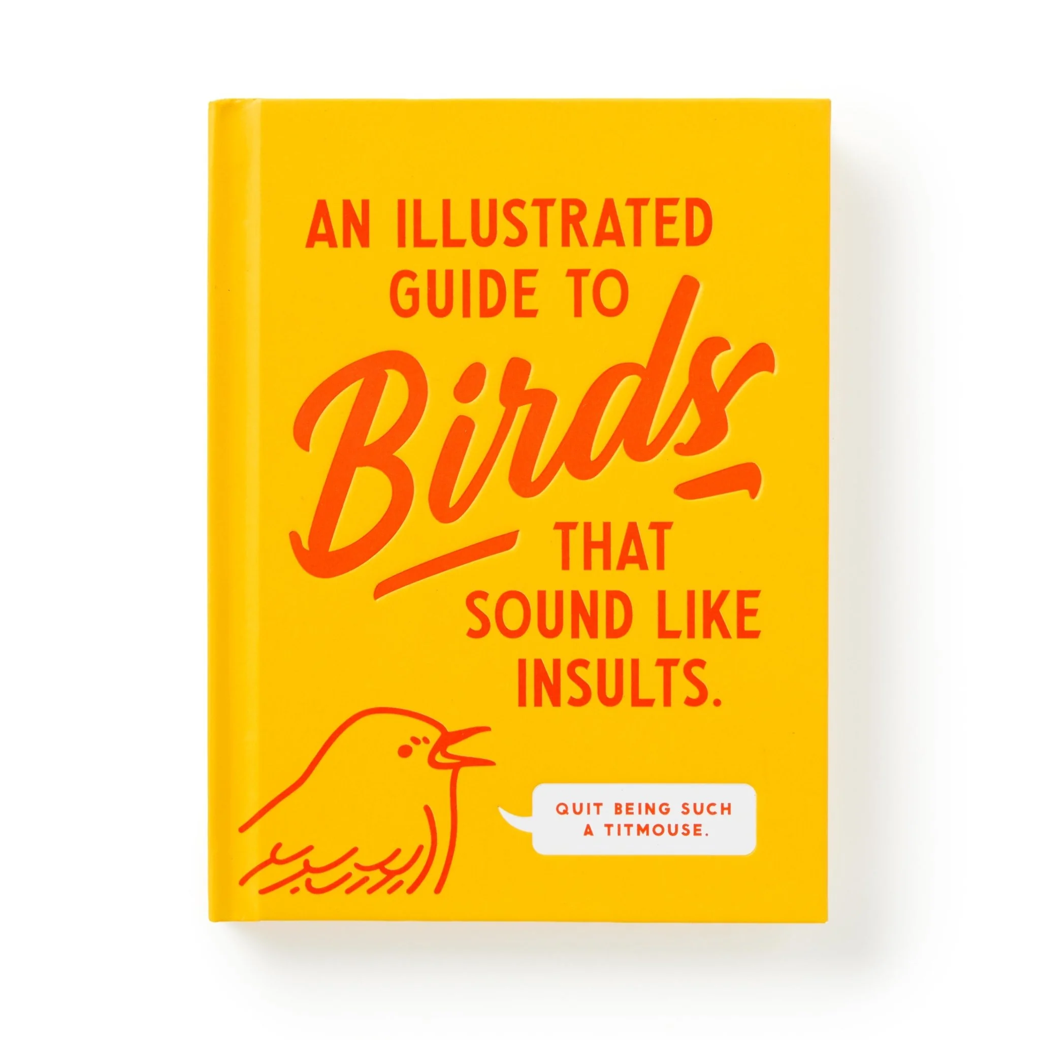 An Illustrated Guide to Birds that Sound like Insults - Image 3