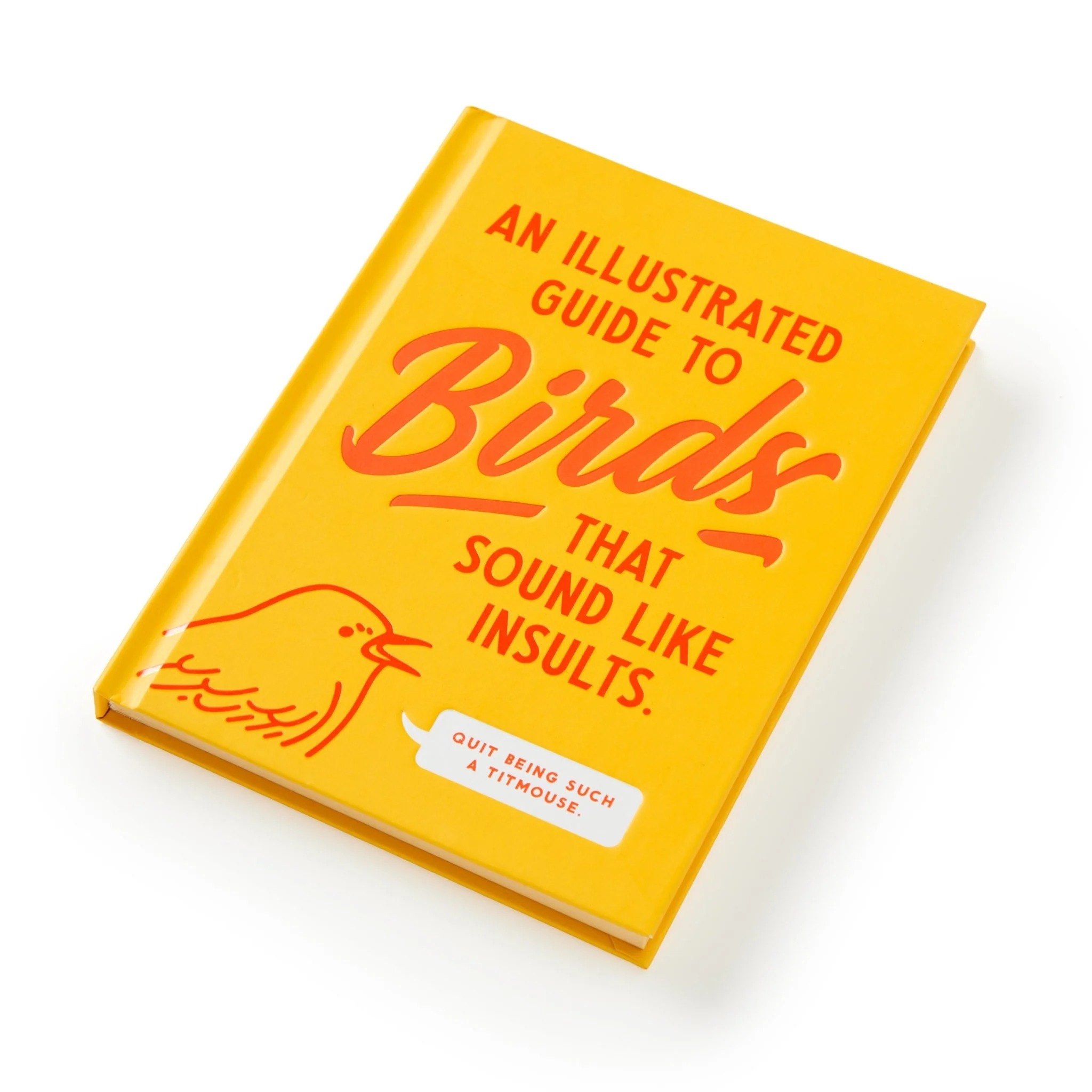 An Illustrated Guide to Birds that Sound like Insults - Image 5