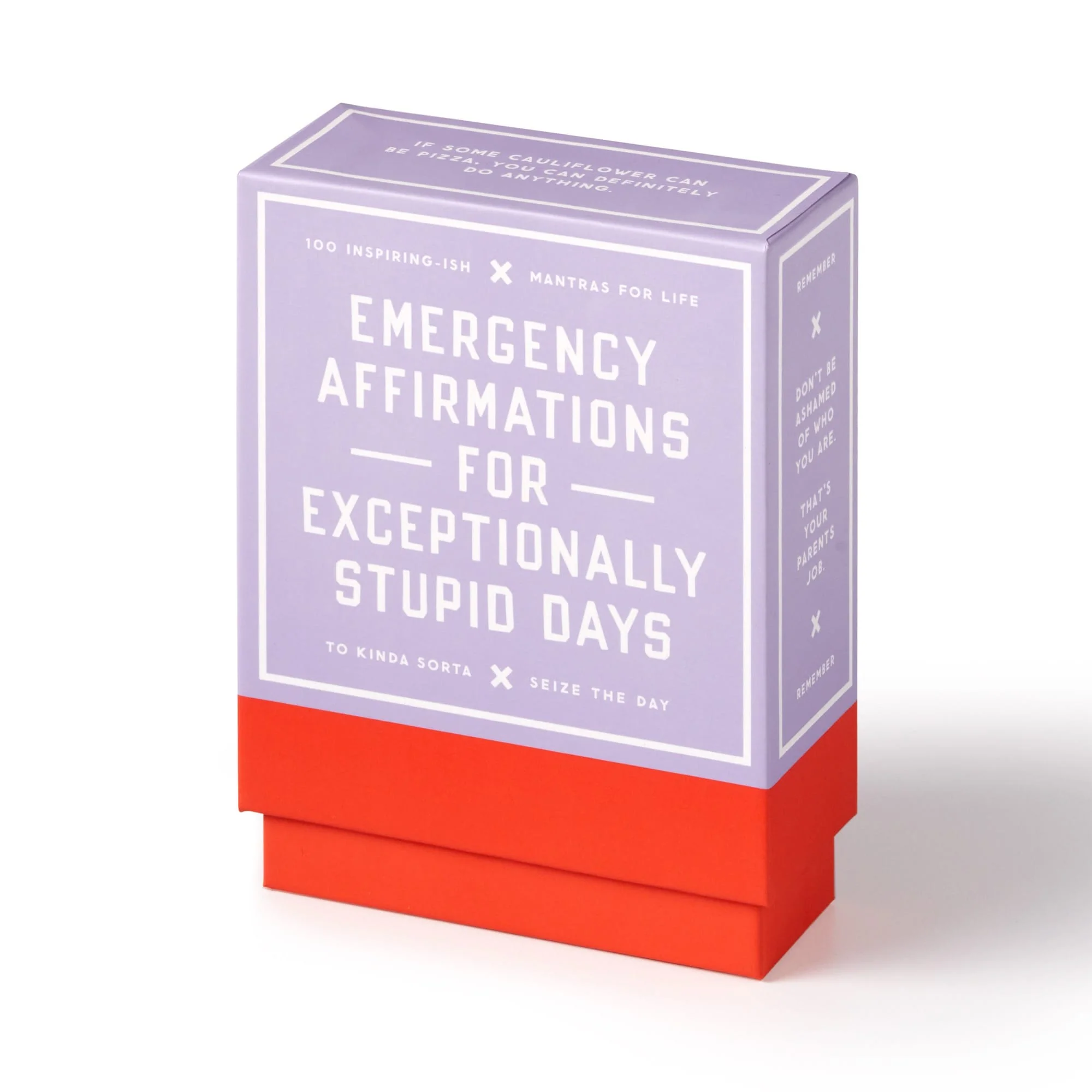 Emergency Affirmations for Exceptionally Stupid Days Card Deck - Image 3