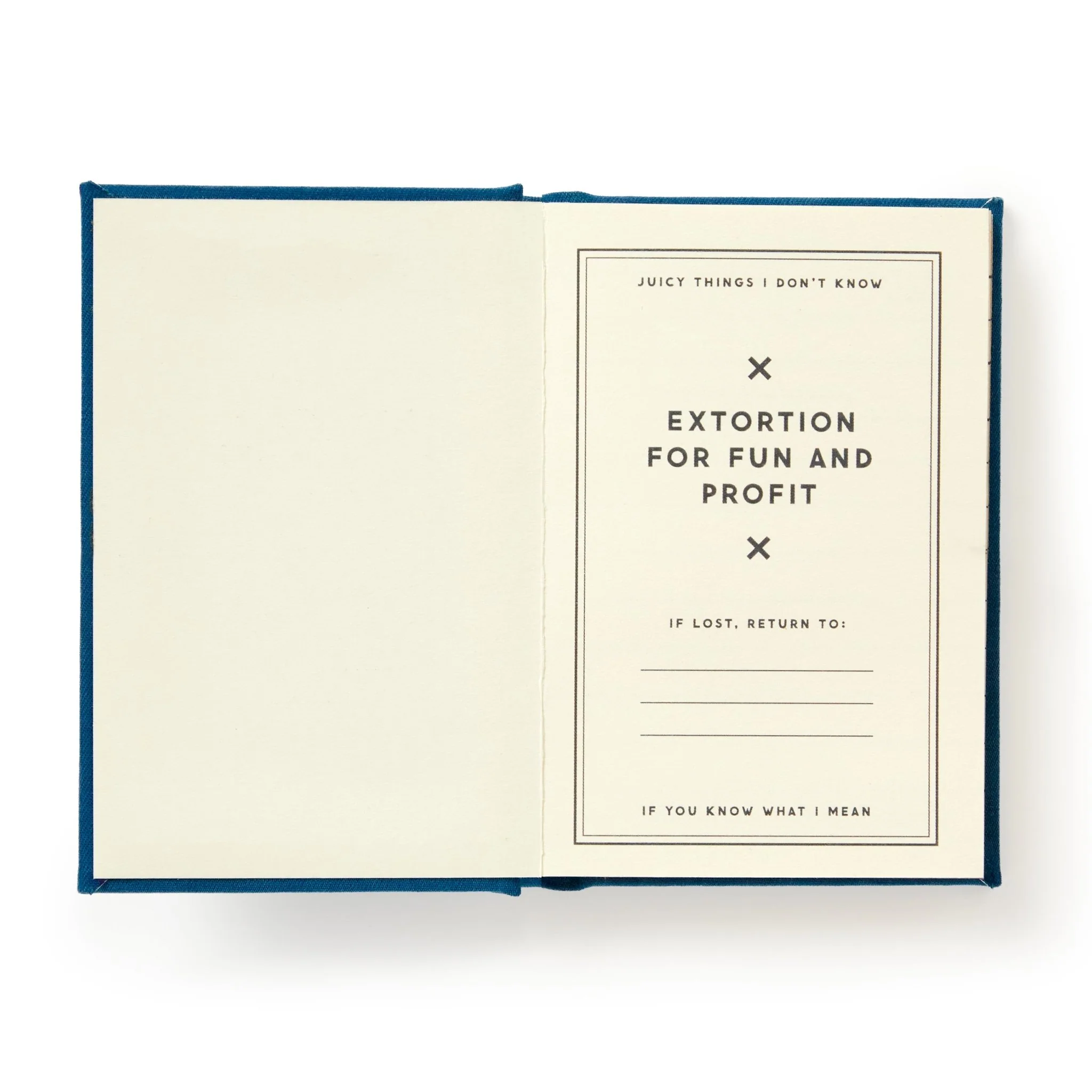 Future Blackmail Tiny Diary - Image 4