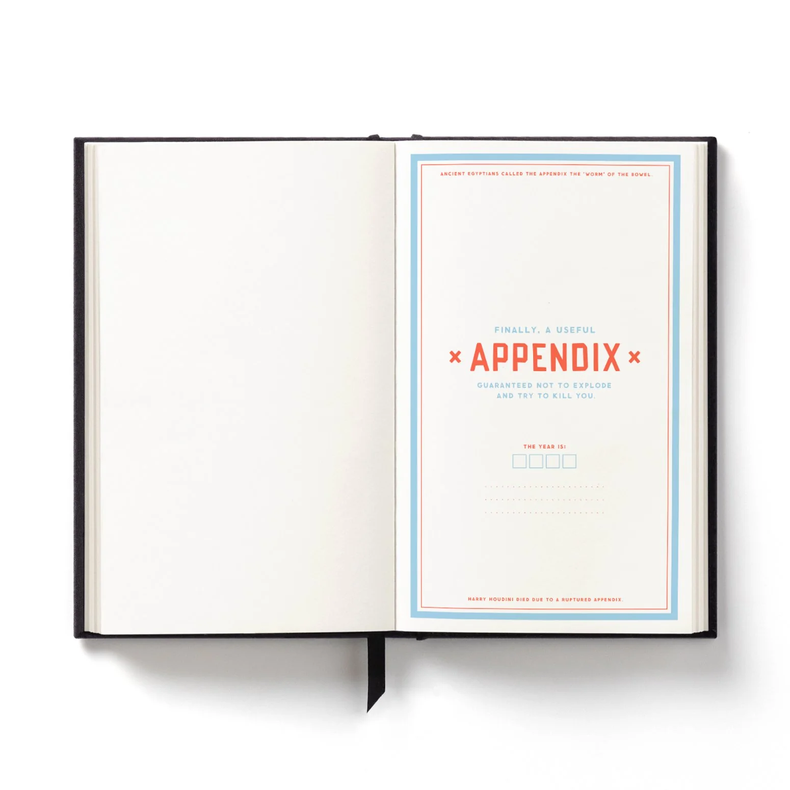 Hidden Agenda Undated Mini Planner - Image 10