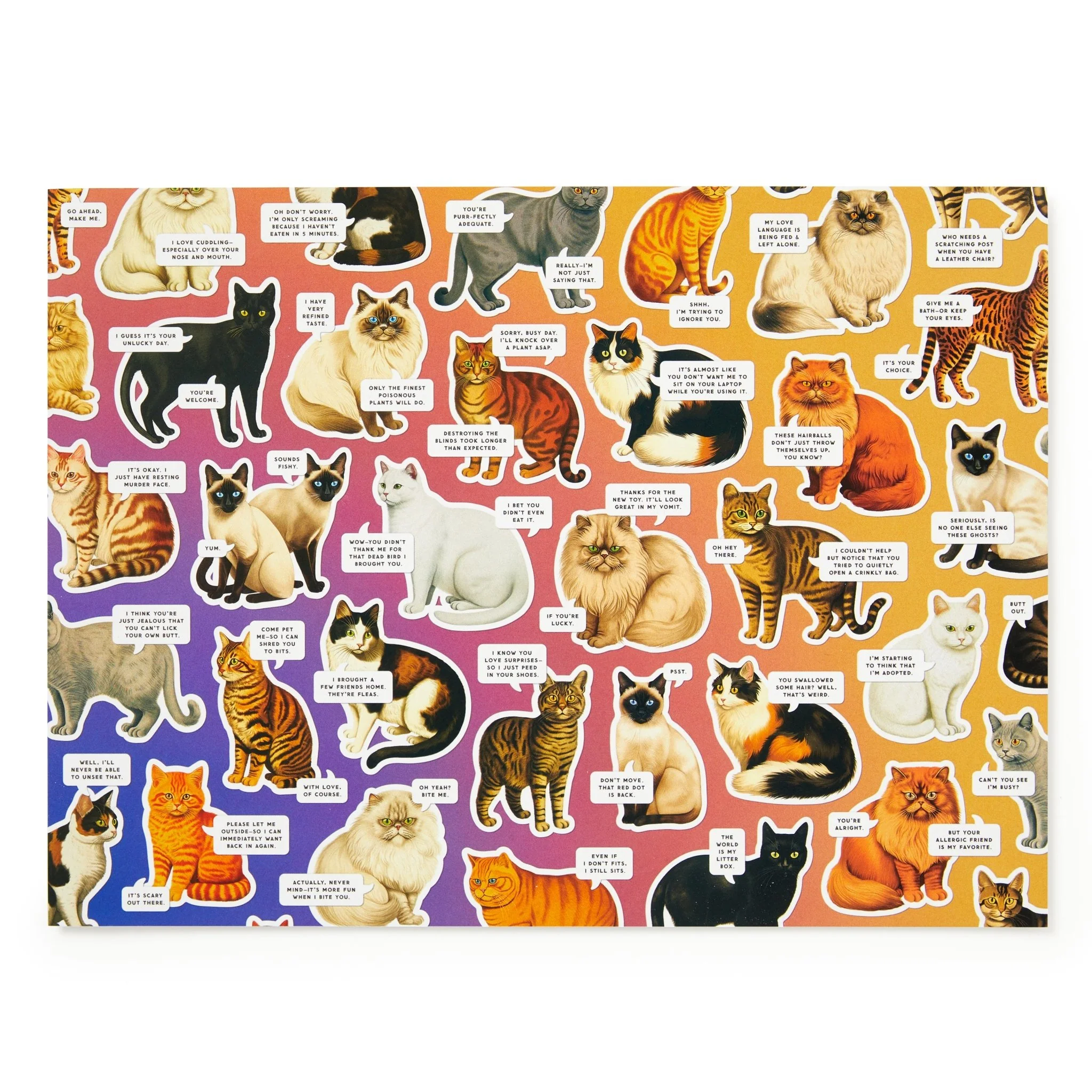 Moody Cats 1000 Piece Puzzle - Image 4