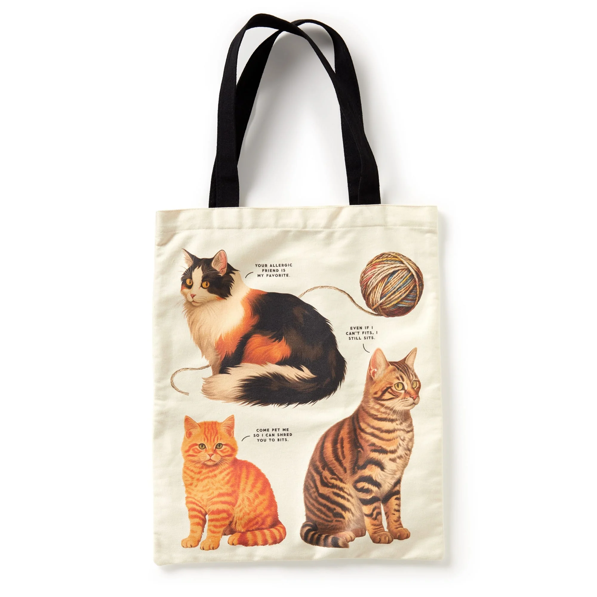 Moody Cats Canvas Tote - Image 3