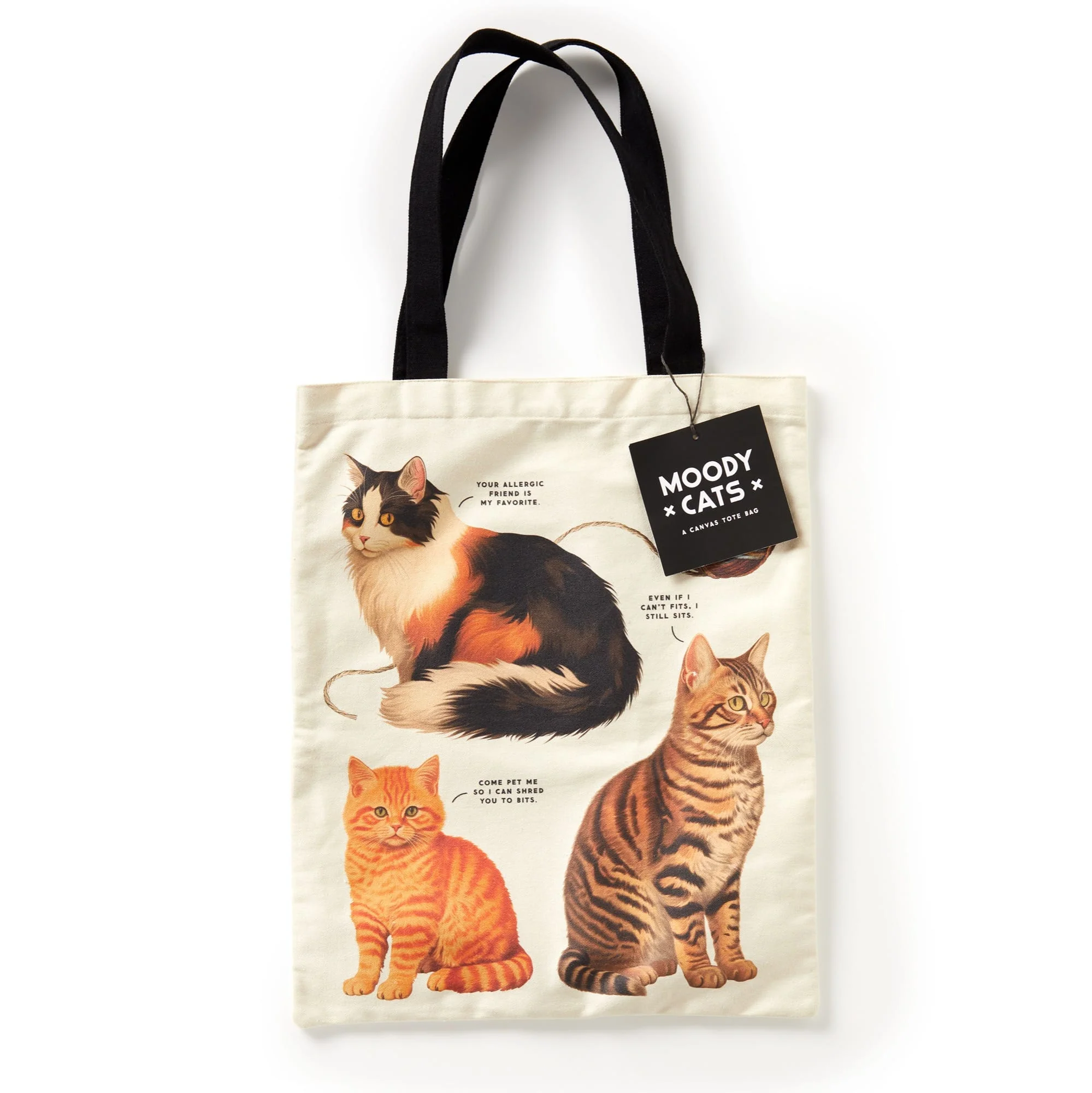 Moody Cats Canvas Tote - Image 5